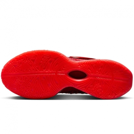 Nike Lebron XXI James Gang