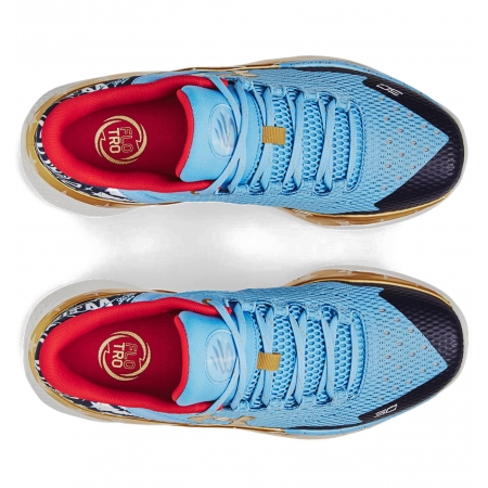 Under Armour Curry 2 Low Flotro