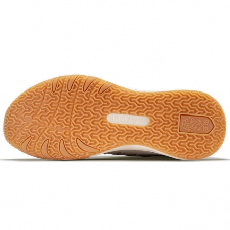 Judah 1 Lion of Judah