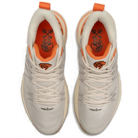 Judah 1 Lion of Judah