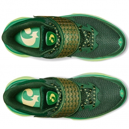 Curry Fox 1 Happy Fox Day Alt