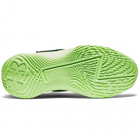 Curry Fox 1 Happy Fox Day Alt