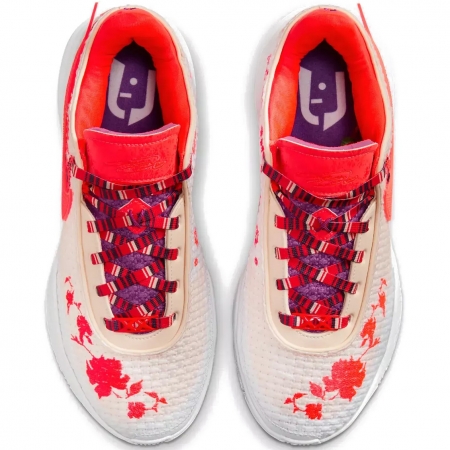 Nike LeBron XX Mimi Plange Ceremony