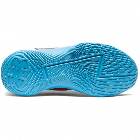 Curry Fox 1 Happy Fox Day