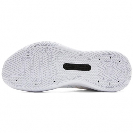 Peak AW Big Triangle 4.0