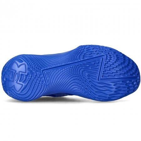 Curry Fox 1 Lexington