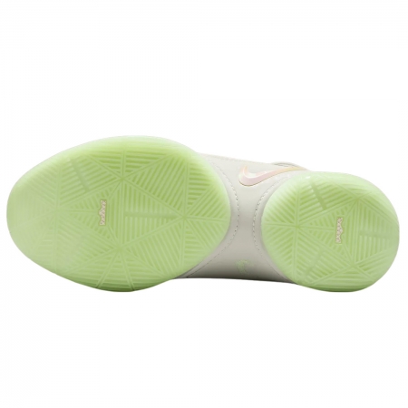 Nike LeBron 22 Dunkman