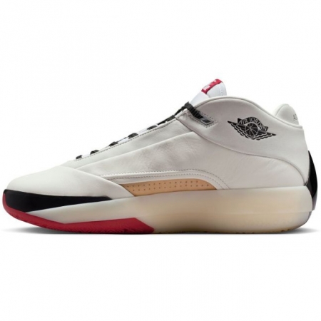 Air Jordan 40 Chicago