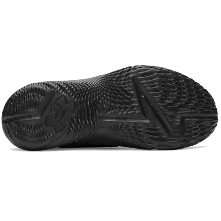 Curry Fox 2 Lexington