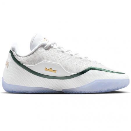 Nike LeBron 23 From This Point Forward