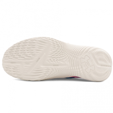 Curry Fox 2 Hooptopia