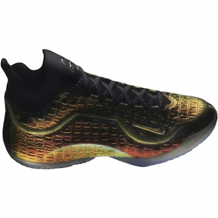 Nike LeBron 23 All-Star Warning Label