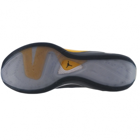 Jordan Luka 1 Michigan Wolverines PE