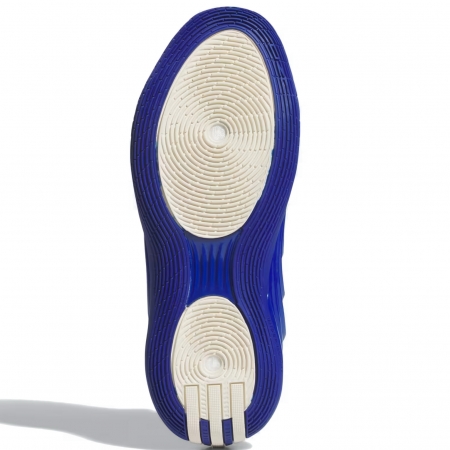 adidas Harden Vol. 10