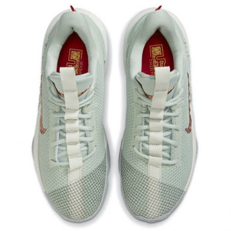 Nike LeBron Ambassador 13