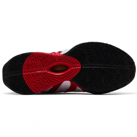 Nike Deion Sanders Max 96 Lebron XXI