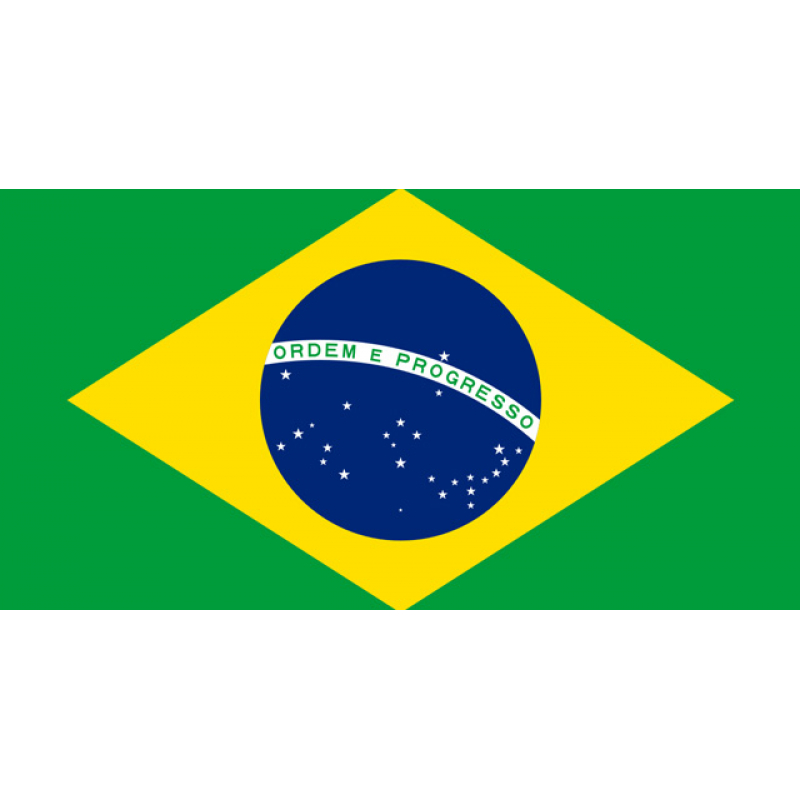 Brazil Men's Basketball Team