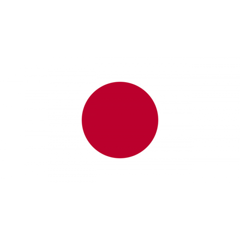 Japan Men's Basketball Team